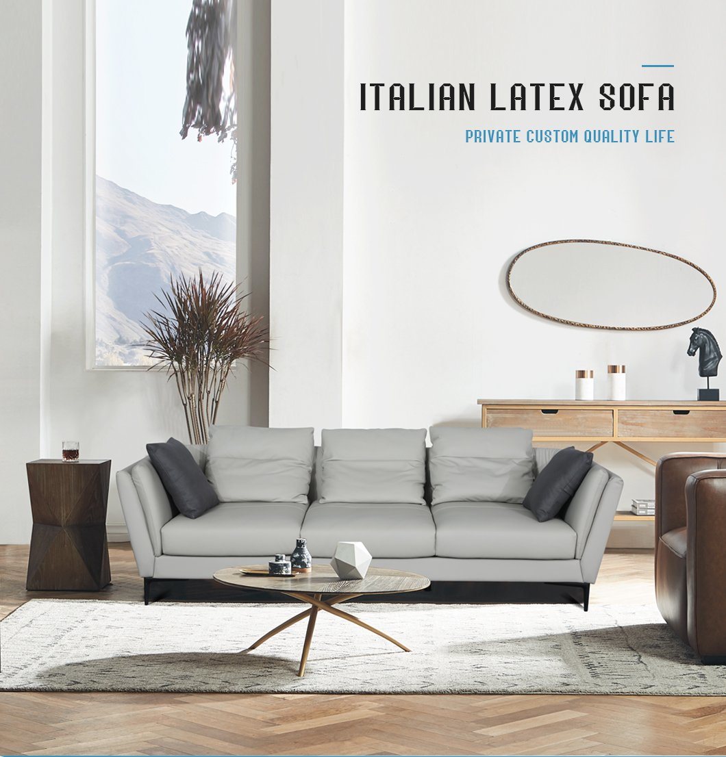 High Luxury Italian Latex Sofa Office Furniture