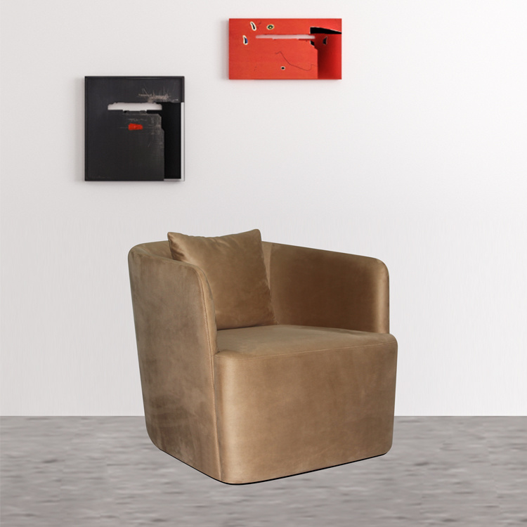 Modern Living Room Leisure Chair Easy Chair